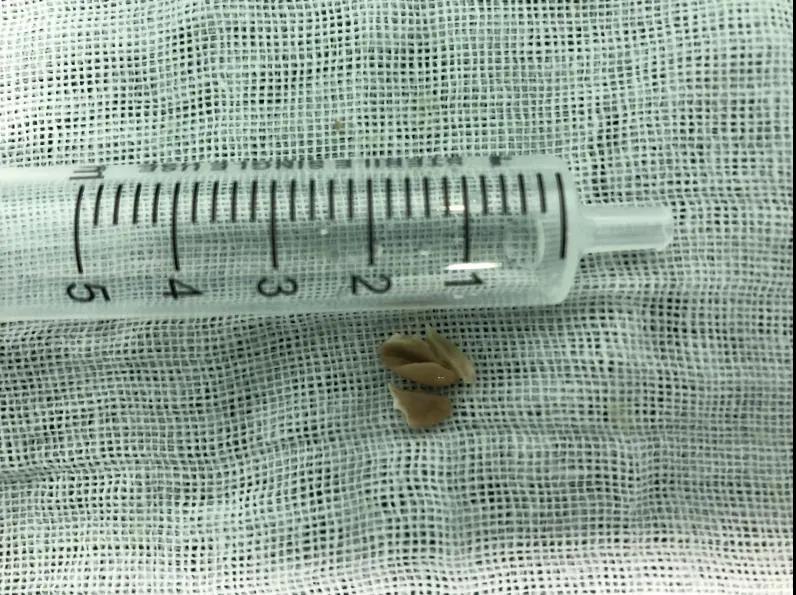 微信图片_20220110162731 微信图片_20220110162731