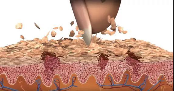 微信图片_20220207121743 微信图片_20220207121743