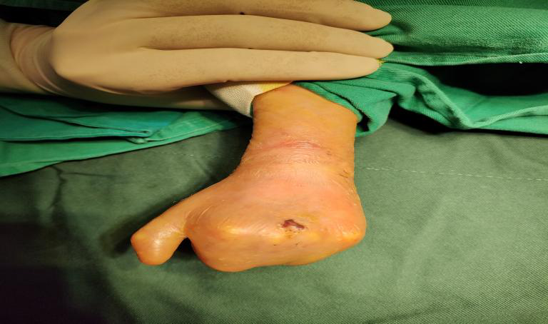 微信图片_20220406101159 微信图片_20220406101159